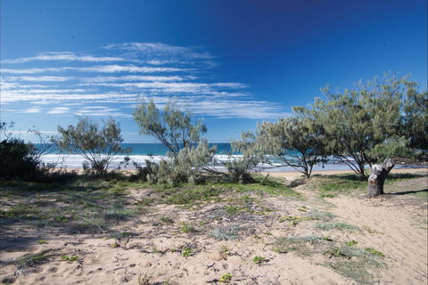 Deepwater National Park Camping - Accommodation Port Macquarie 0