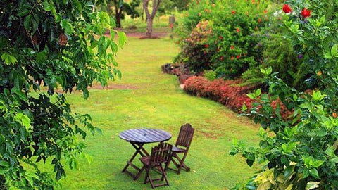 Emerald Springs - Accommodation Port Macquarie 1