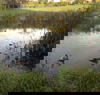 Harewood House Bed and Breakfast - Accommodation Port Macquarie