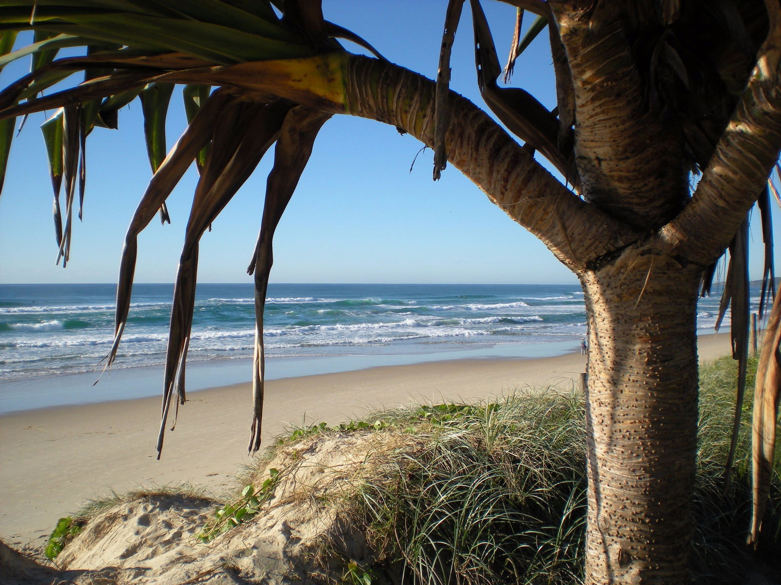  Accommodation Port Macquarie