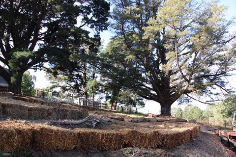 Longwood Retreat - Accommodation Port Macquarie 0