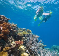 NRMA Cairns Holiday Park - Accommodation Port Macquarie