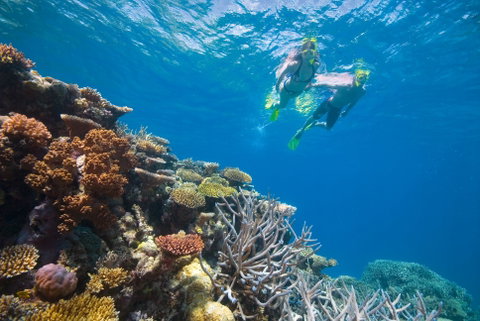 NRMA Cairns Holiday Park - Accommodation Port Macquarie 0