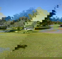 Pine Country Caravan Park - Pet Friendly - Accommodation Port Macquarie