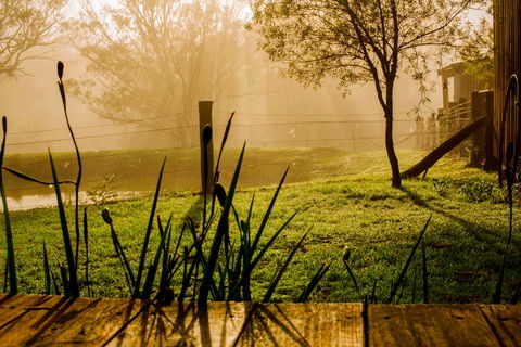 Tobruk Sydney Farm Stay - Accommodation Port Macquarie 1