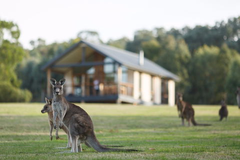 Yering Gorge Cottages - Accommodation Port Macquarie 0