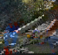 Zeehan Bush Camp - Accommodation Port Macquarie