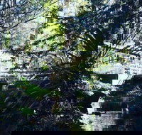 Aldgate Valley Bed and Breakfast - Accommodation Port Macquarie