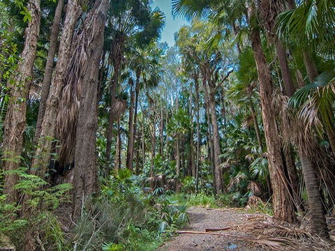 Brambles Green Campground - Accommodation Port Macquarie 1