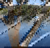 Bumberry Dam - Accommodation Port Macquarie