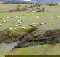 Camp on Allyn - Accommodation Port Macquarie