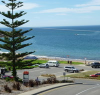 Dolphins 8 - Accommodation Port Macquarie