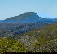 Finchley campground - Accommodation Port Macquarie