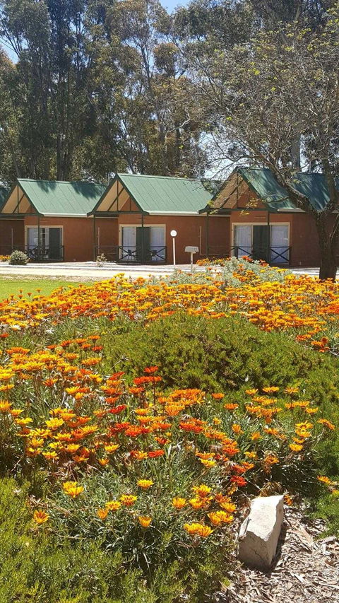 Jamestown Country Retreat Caravan Park - Accommodation Port Macquarie 1