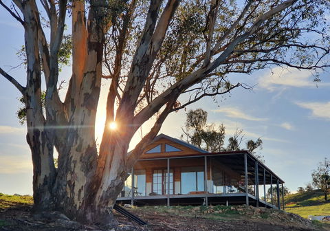 Kestrel Nest EcoHut - Accommodation Port Macquarie 0