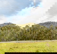 Mountain Arm campground - Accommodation Port Macquarie