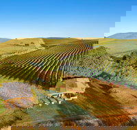 Mt Bellevue - King Valley - Accommodation Port Macquarie