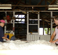Pelican Sheep Station - Accommodation Port Macquarie