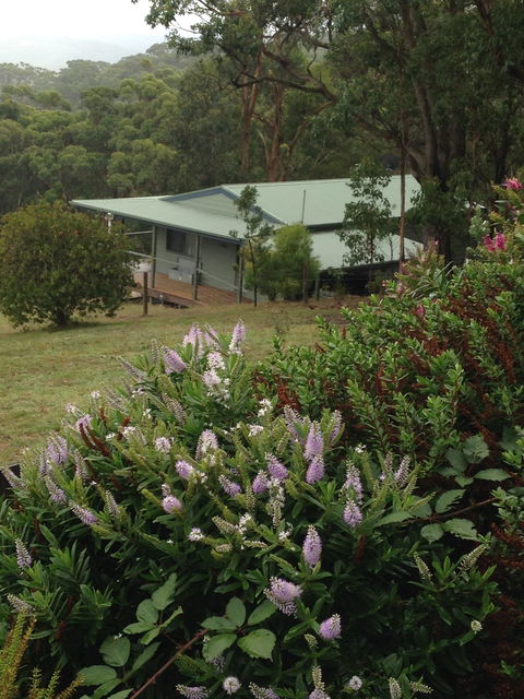 Southern Anchorage Retreat - Accommodation Port Macquarie 1