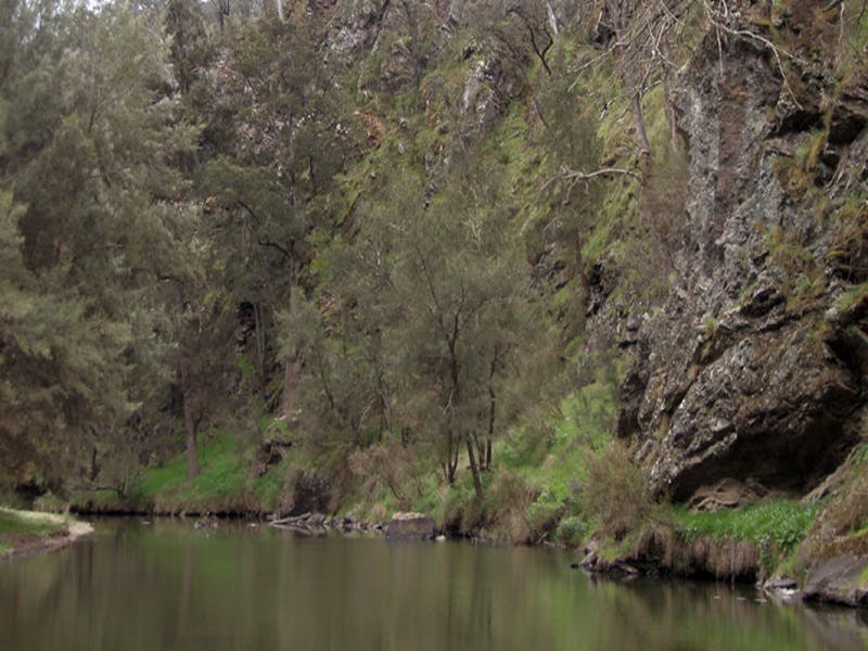 Lower Boro NSW Accommodation Port Macquarie