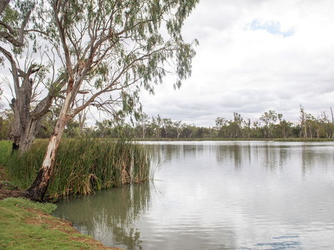 The River Block - Accommodation Port Macquarie 2