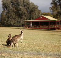 The Pokolbin Cabins - Accommodation Port Macquarie