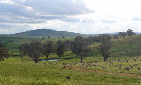 Wantana Cottage Farm Stay - Accommodation Port Macquarie 0