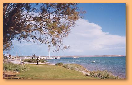 Denham Seaside Tourist Village - Accommodation Port Macquarie 0