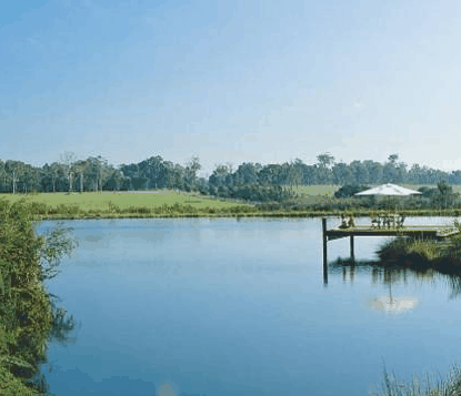 Forest Rise Eco Retreat - Accommodation Port Macquarie