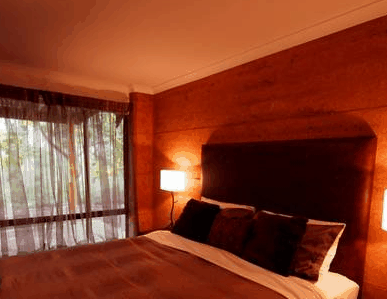 Forest Rise Eco Retreat - thumb 1