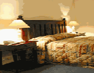 Comfort Inn Treetop Walk - Accommodation Port Macquarie