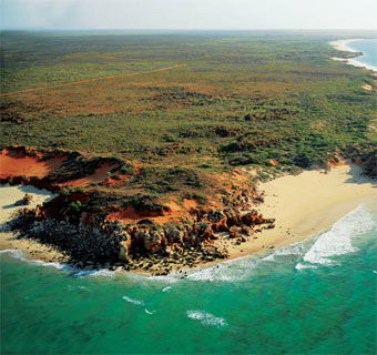 Eco Beach Wilderness Retreat - Accommodation Port Macquarie 2