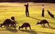 Novotel Swan Valley Vines Resort - thumb 1