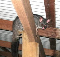 Warren River Resort - Accommodation Port Macquarie