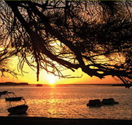 Pelican's Nest - Accommodation Port Macquarie