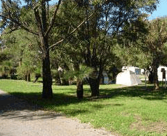 Rockingham Holiday Village - Accommodation Port Macquarie 4