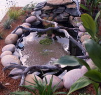 Equal Balance Bed and Breakfast - Accommodation Port Macquarie