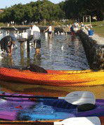 Turner Caravan Park - Accommodation Port Macquarie 1