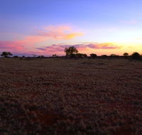 Wogarno Homestead - Accommodation Port Macquarie