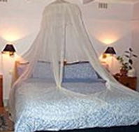 Bondi Beach Garden Sweet - Accommodation Port Macquarie