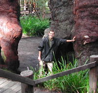 Walpole Lodge - Accommodation Port Macquarie