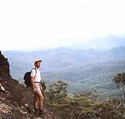 Mimosa Hill Wildflower Farm Cottages - Accommodation Port Macquarie