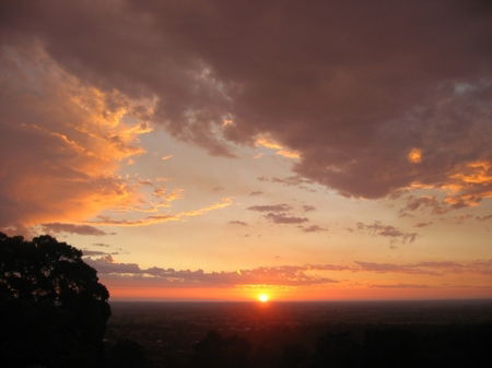 Vista Ridge Estate - Top Paddock Cottage - Accommodation Port Macquarie 5