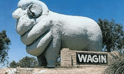 Dongolocking WA Accommodation Port Macquarie