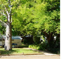 Town Caravan Park - Accommodation Port Macquarie