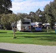 Pinjarra Caravan Park - Accommodation Port Macquarie