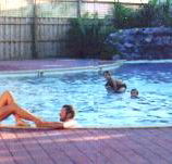 Shark Bay Caravan Park - Accommodation Port Macquarie