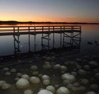 Lake Clifton Caravan Park - Accommodation Port Macquarie