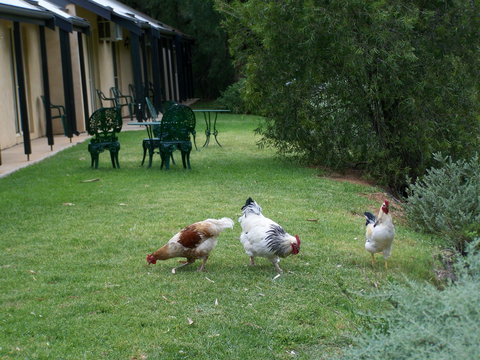 Burra Motor Inn - Accommodation Port Macquarie 2