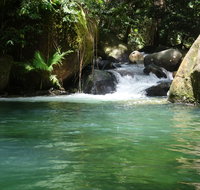 Daintree Secrets Rainforest Sanctuary - Accommodation Port Macquarie